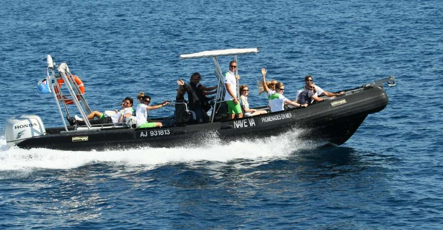 From Porto: Scandola and Calanche de Piana Boat Tour - Who should book this boat trip