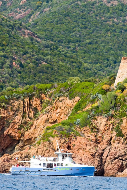 From Porto: Scandola & Girolata Tour by Boat - Is $53 good value?