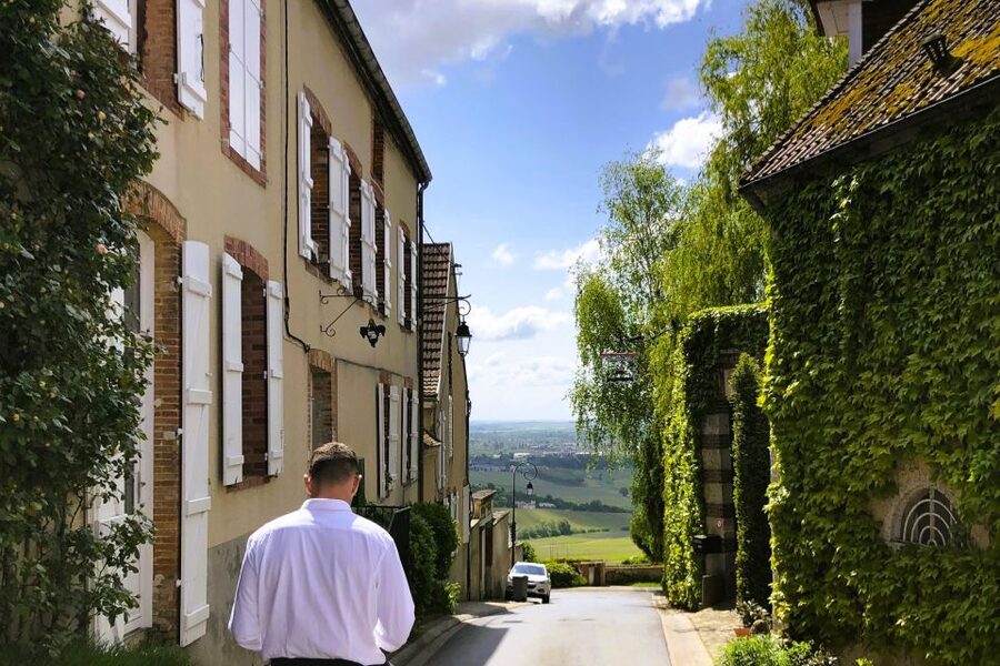 From Reims: Champagne and Family-Run Wineries Tour - Vineyard views in the Champagne countryside
