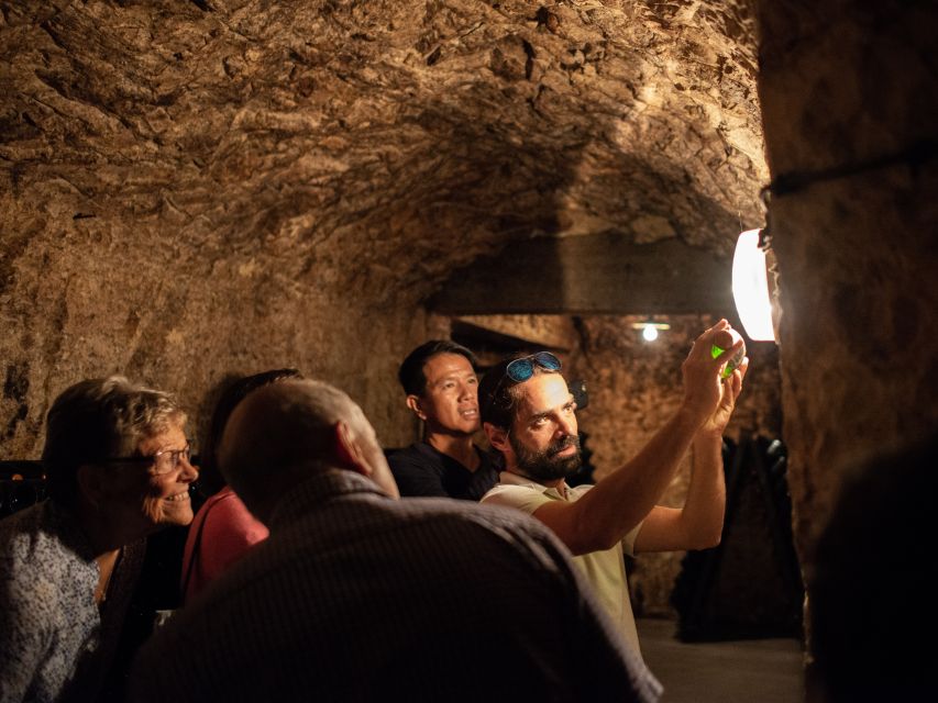 From Reims: Champagne and Family-Run Wineries Tour - Weather, clothing, and cellar comfort