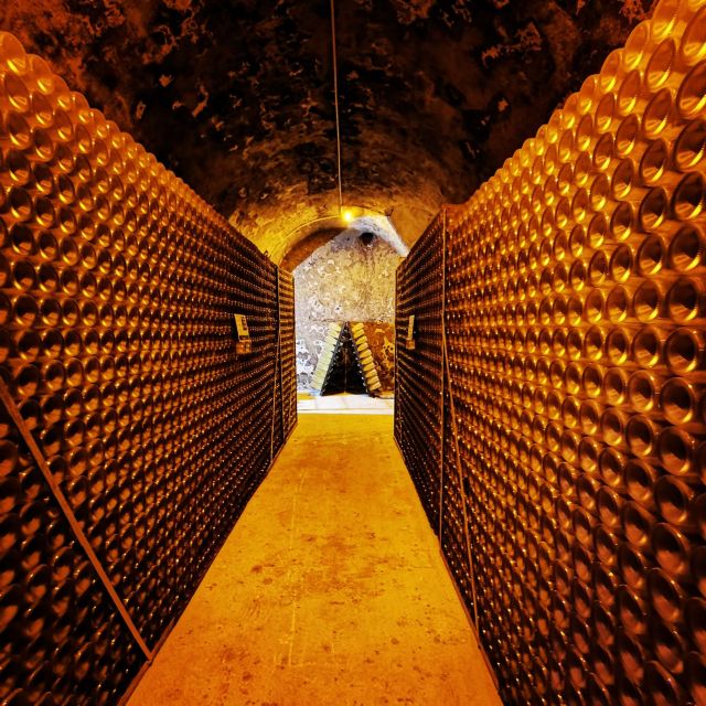 From Reims: Day Trip to Veuve Clicquot Family Grower & Lunch - Meeting a Champagne family grower