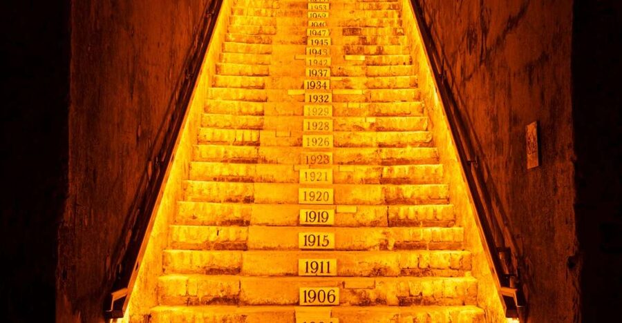 From Reims: Day Trip to Veuve Clicquot Family Grower & Lunch - Meeting at Reims-Centre station at 9:20 AM
