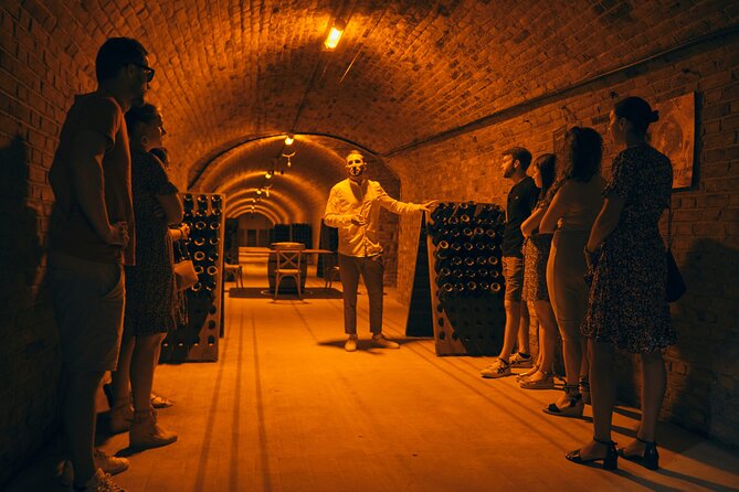 From Reims morning Champagne family growers - The Montagne de Reims vineyard stop