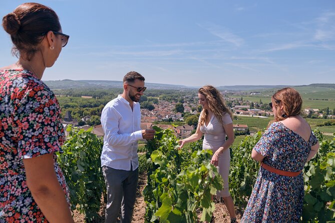 From Reims morning Champagne family growers - Second producer: three more glasses and a useful comparison