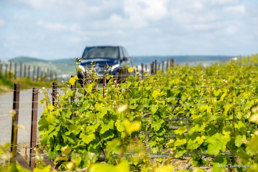 From Reims: Morning Champagne Tour and Tastings - Key points to know before booking