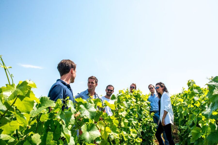 From Reims: Morning Champagne Tour and Tastings - The countryside views and the pace of the morning