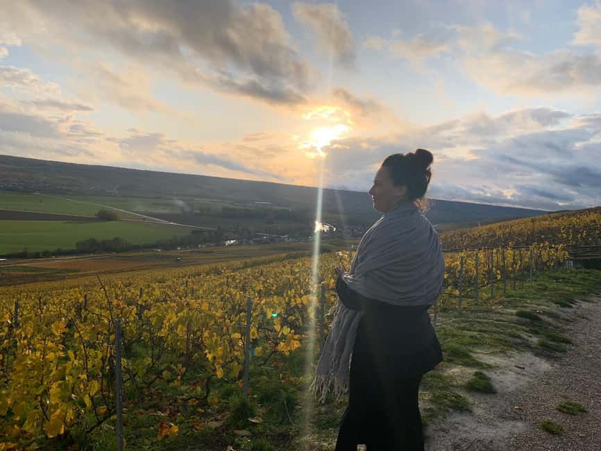 From Reims: Morning Champagne Tour and Tastings - Meeting at Reims Centre at 9:20 AM