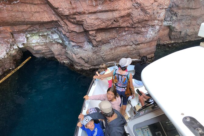 From Sagone/Cargèse: Scandola Calanques Piana Girolata Swimming - Capo Rosso: Rock, Natural Pool, and a Swim