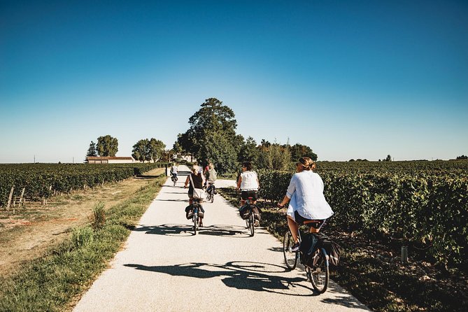 From Saint-Emilion : Electric Bike Day Tour with Wine Tastings and Picnic Lunch - At a glance: what makes this tour worth considering