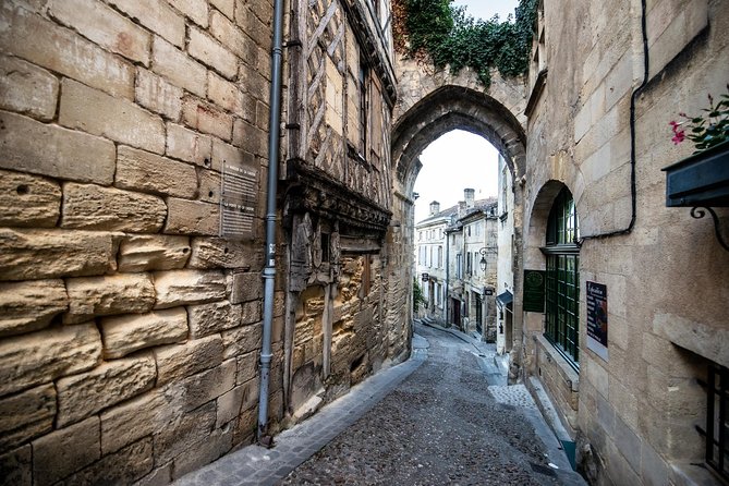 From Saint-Emilion : Electric Bike Day Tour with Wine Tastings and Picnic Lunch - Seven wines to finish the afternoon