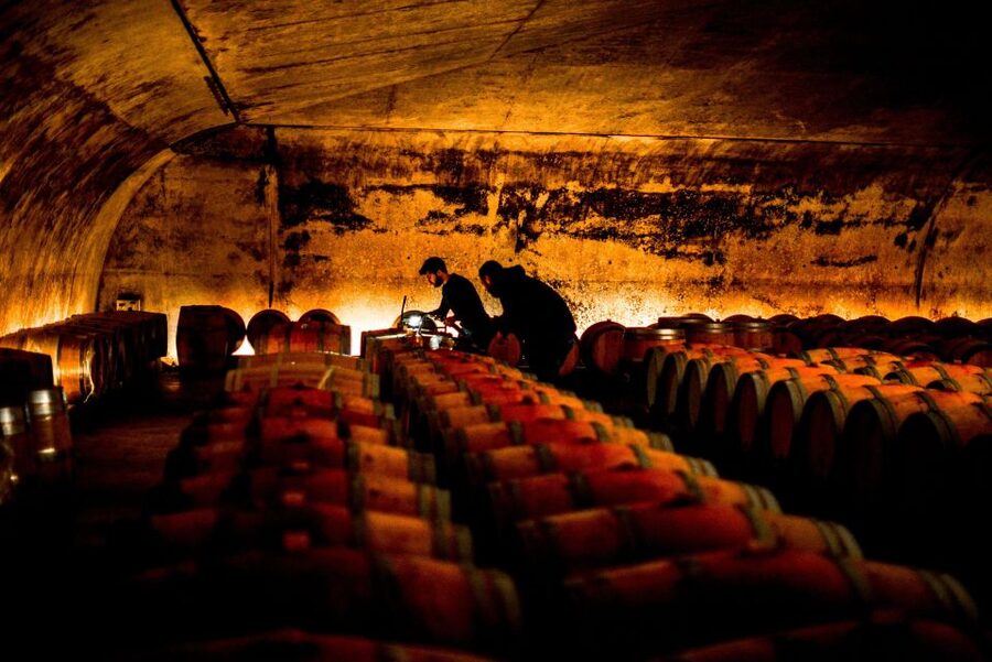 From Saint-Emilion : Half Day Electric Bike Tour - The 2:30 ride to the second estate