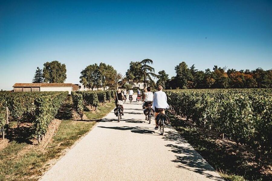 From Saint-Emilion : Half Day Electric Bike Tour - Starting at 11:30 at Rustic Vines