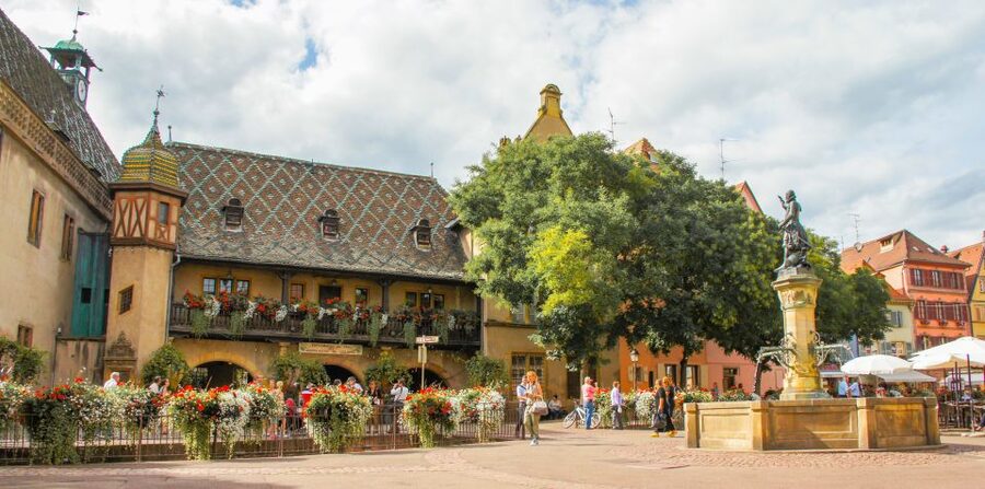 From Strasbourg: Best Of Alsace Historical Day Trip - Who should book this experience?