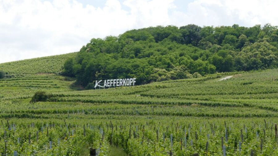 From Strasbourg: Best Of Alsace Historical Day Trip - Why this day trip works from Strasbourg