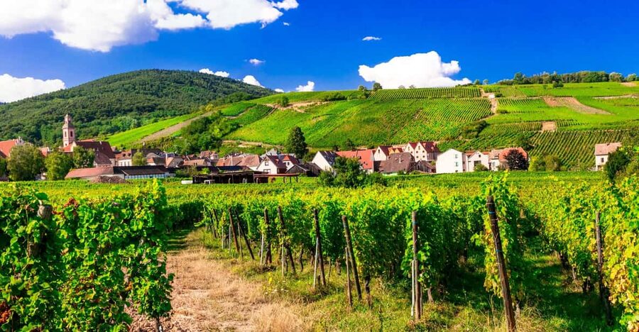 From Strasbourg: Half-Day Tour of Alsace Villages - The essential points at a glance