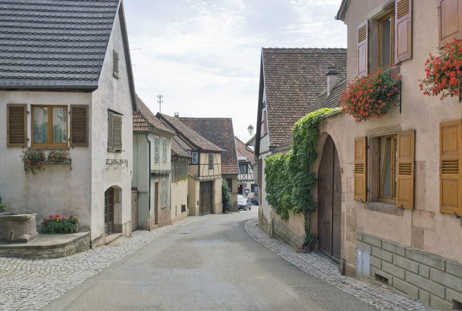 From Strasbourg: Half-Day Tour of Alsace Villages - Small practical details that make a difference