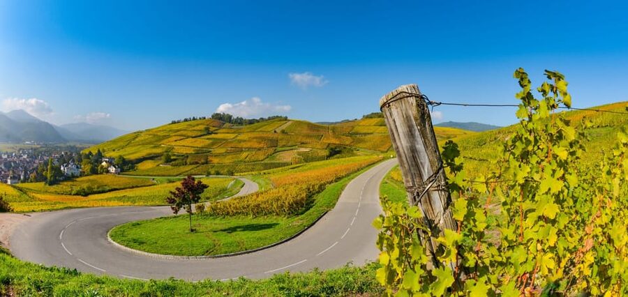 From Strasbourg: Half-Day Tour of Alsace Villages - Leaving Strasbourg for the Alsace Wine Route
