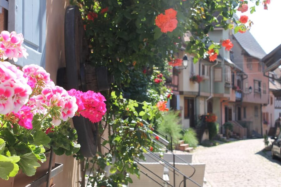 From Strasbourg: Half-Day Tour of Alsace Villages - Andlau and the 9th-century abbatial church