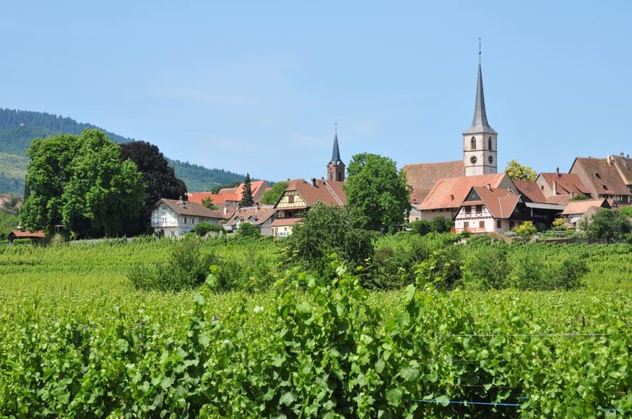 From Strasbourg: Half-Day Tour of Alsace Villages - What the guides add to the experience