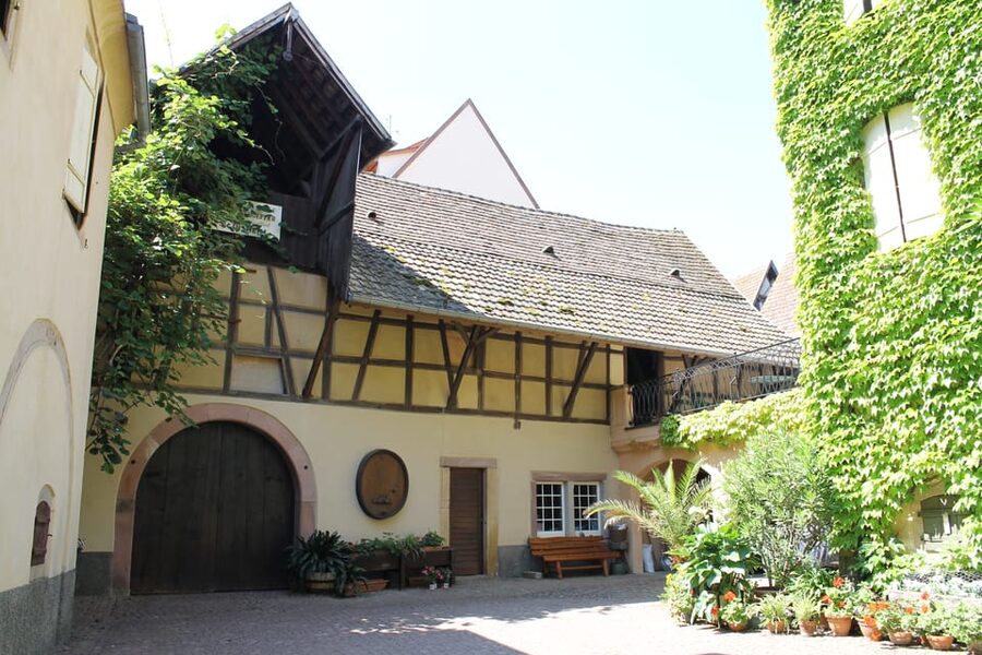 From Strasbourg: Half-Day Tour of Alsace Villages - Is $112 a fair price?