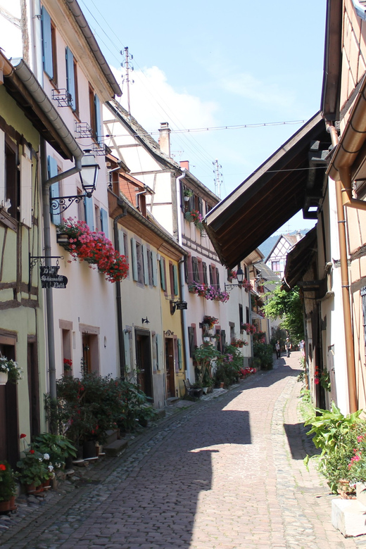 From Strasbourg: Half-Day Tour of Alsace Villages - Who will enjoy this half-day outing?
