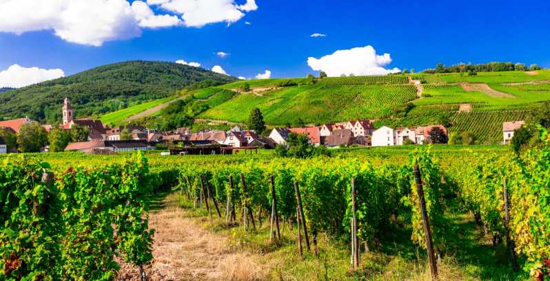 From Strasbourg: Half-Day Tour of Alsace Villages - Barr: vineyards, Sylvaner, and town architecture