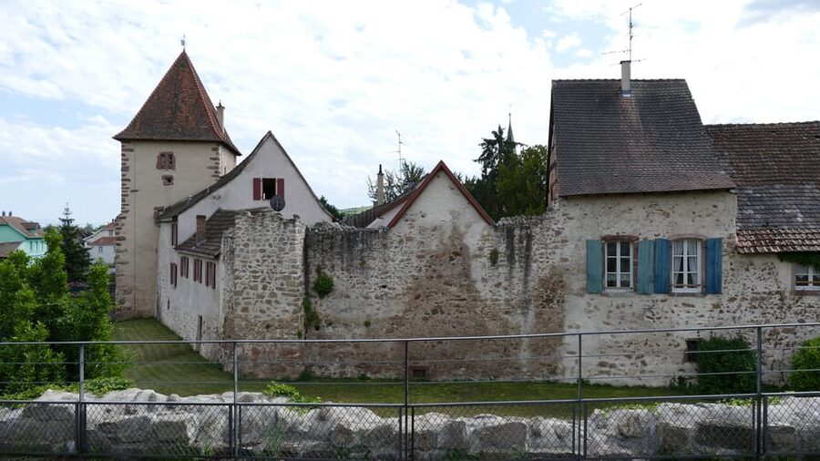 From Strasbourg: Medieval Villages & Wine Tasting Day Trip - The winery visit keeps the wine route practical