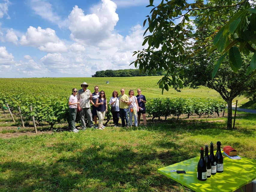 From Tours: Afternoon Loire Valley Wine Tour - Learning to taste instead of simply drinking