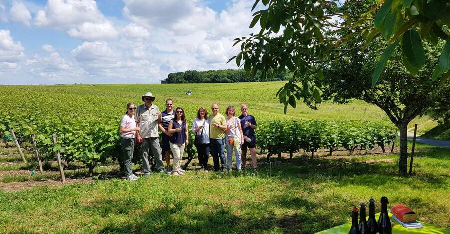 From Tours: Afternoon Loire Valley Wine Tour - The Amboise-area tasting