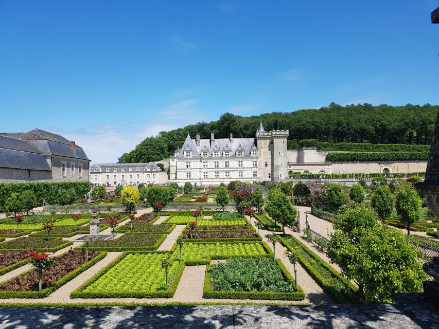 From Tours: Afternoon Loire Valley Wine Tour - The practical trade-offs