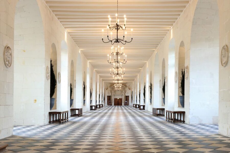 From Tours: Chenonceau and Chambord Castles Guided Tour - The guides can make or break the day