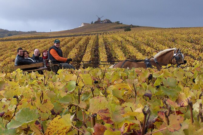Full Day All-inclusive Tour in Champagne from Paris in a Minivan - Key points to know before booking