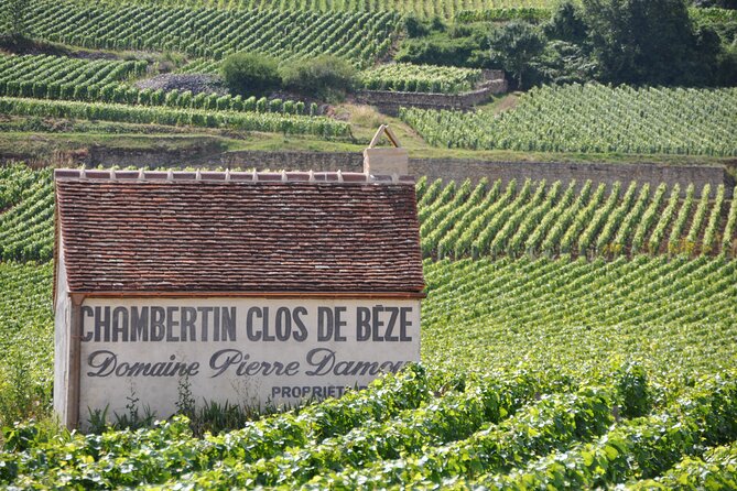 Full-Day Private Tour, 6 Premiers & Grands Crus, The Best of Burgundy - Guides who shape the experience