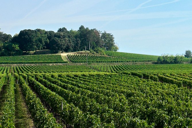Full-day Saint-Emilion: Village, Undergrounds and Châteaux - Château Champion and the second tasting