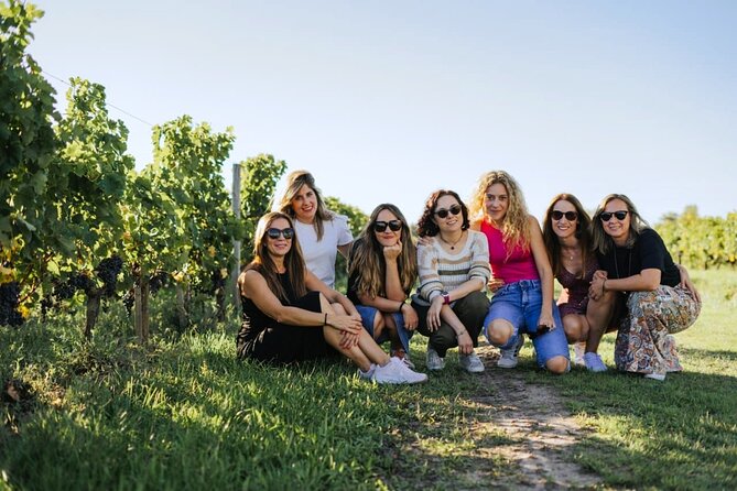 Full Day Tour Saint Emilion with lunch two Chateaux and Village - Meeting your guide in Bordeaux at 10:00