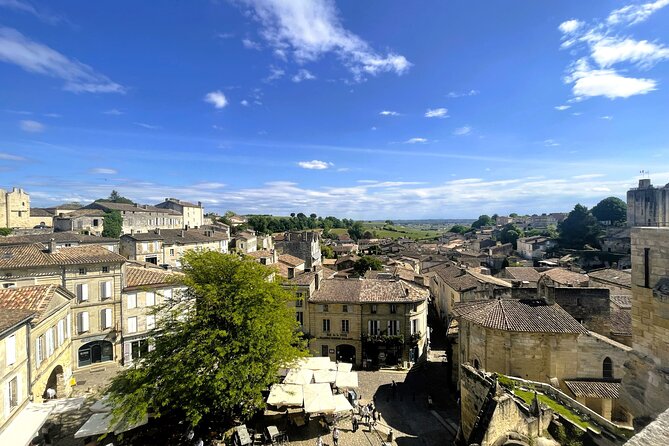 Full Day Tour Saint Emilion with lunch two Chateaux and Village - The family-run estate winery