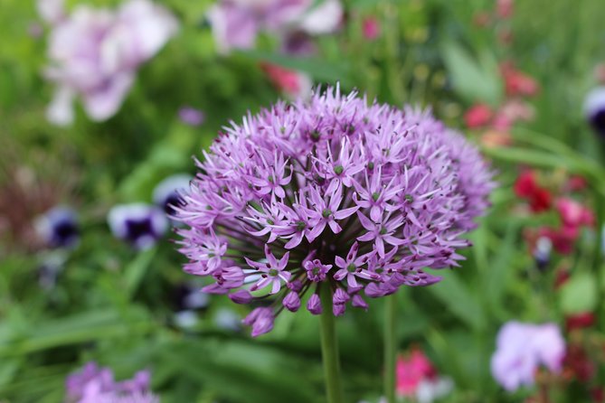 Giverny and Monet's House Half Day Trip from Paris Guide or Audio - Is the $102.57 price good value?
