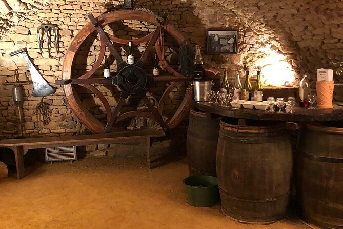 Golden stones Beaujolais Wine Tour with Tastings from Lyon - Meeting the family winemaker