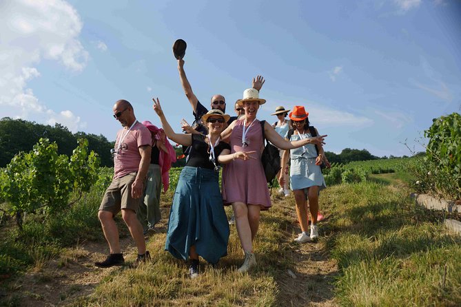 Gourmet walk in the heart of the vineyards with Champagne tasting near Epernay - Key points to know before you book