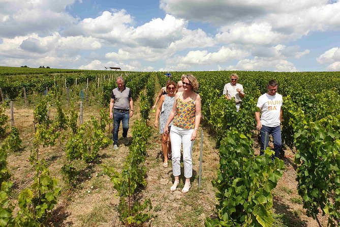 Gourmet walk in the heart of the vineyards with Champagne tasting near Epernay - Starting in Cumières, close to Épernay