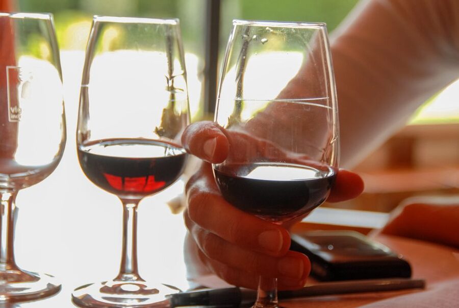 Grasse, Valbonne & Gourdon: Day Tour with Wine Tasting - Bellet wine country above Nice