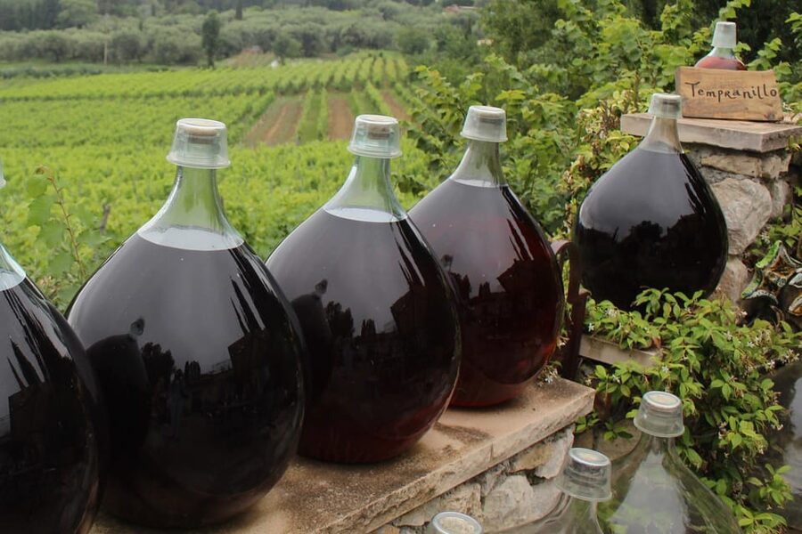 Grasse, Valbonne & Gourdon: Day Tour with Wine Tasting - The long day in a small minivan