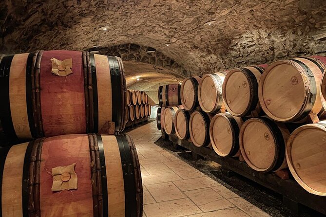 Guided tour and wine tasting Northern Rhône Valley - Leaving Lyon for the Northern Rhône