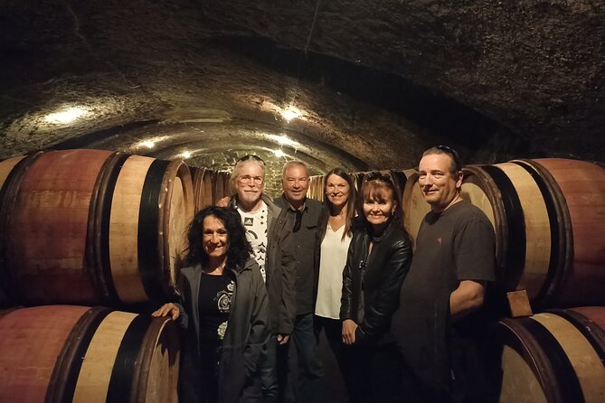 Guided tour and wine tasting Northern Rhône Valley - The best reason to choose the Northern Rhône