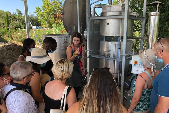 Guided tour Distillery of Lavender between Nîmes & Arles - From planter to harvester