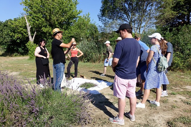 Guided tour Distillery of Lavender between Nîmes & Arles - Why families may enjoy this stop