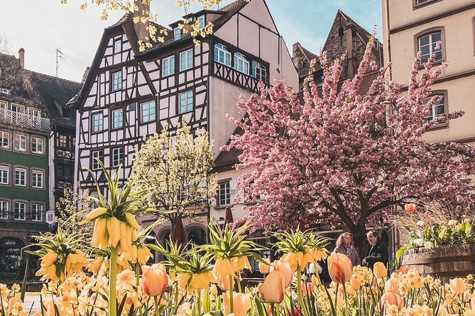 Guided Walking Tour in Strasbourg between History and Curiosities - Notre Dame de Strasbourg: a strong finish outside the doors