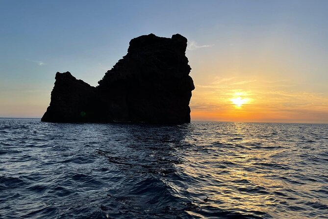 Half Day Boat Trip to Scandola Calanche de Piana - Timing, transport, and the cruise-port warning