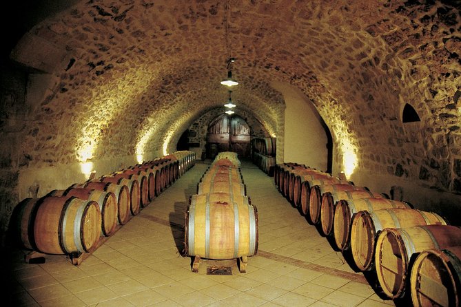 Half Day Great Vineyard Tour from Avignon - Practical details that affect your day