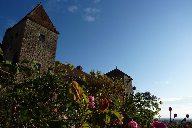 Half Day Tour of the Cote de Nuits Vineyards from Dijon - Walking among the vineyard plots